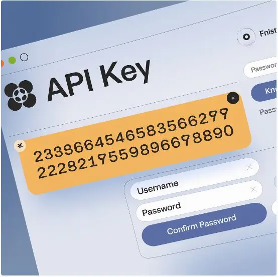 RPDB API Key